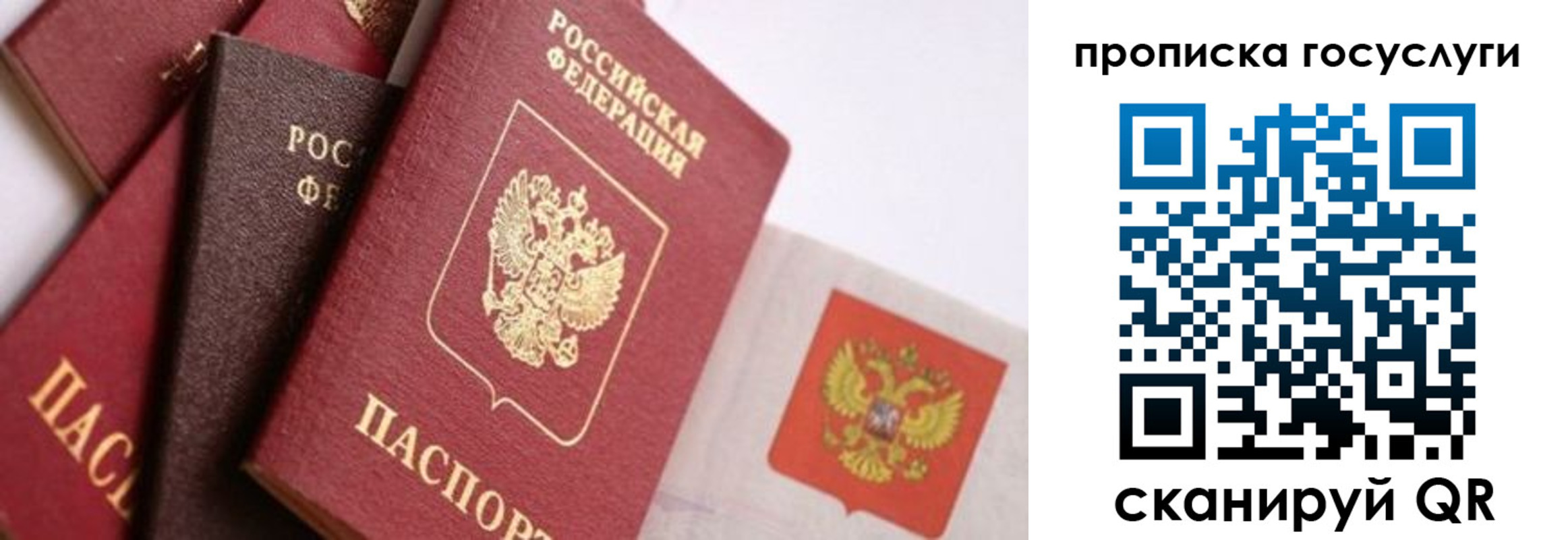 прописка законно в Ингушетии